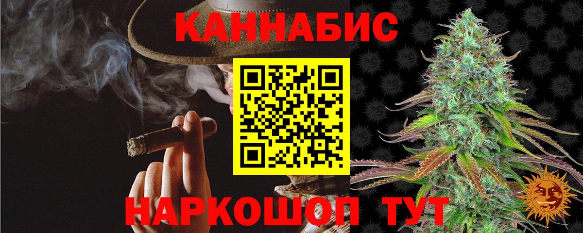 Шишки марихуана AK-47  Марихуана Bruce Banner  Кувандык  Вход с VPN  Марихуана планчик  Бошки марихуана планчик 